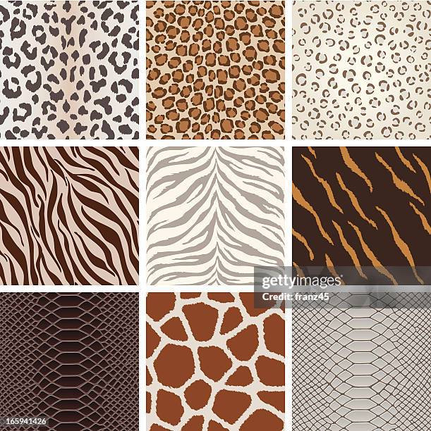 bildbanksillustrationer, clip art samt tecknat material och ikoner med seamless animal background pattern - hår