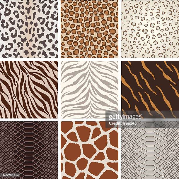 seamless animal background pattern - animals in the wild stock illustrations