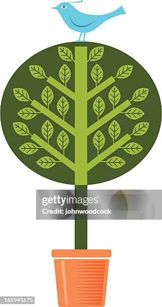 tree with bird - topiary stock illustrations
