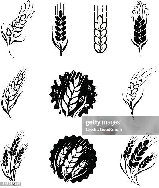 wheat - corn stalk stock illustrations