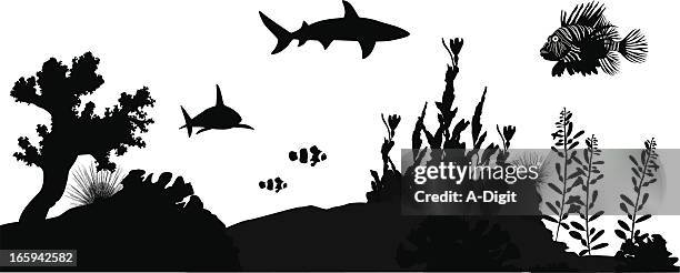 shark'n fishes vector silhouette - reef stock illustrations