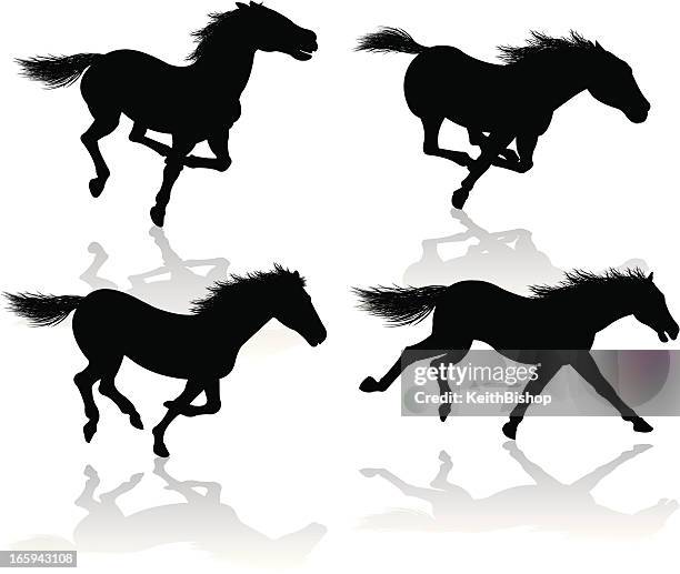 ilustrações, clipart, desenhos animados e ícones de cavalos selvagens ou-cavalo de corrida - mustang wild horse