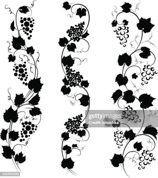 95 3点のつる草のストックフォト Getty Images 95 3点のつる草のストックフォト Getty Images