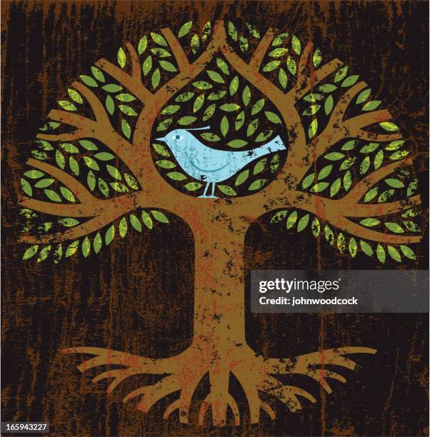 peeling paint bird tree - exfoliating texture stock illustrations
