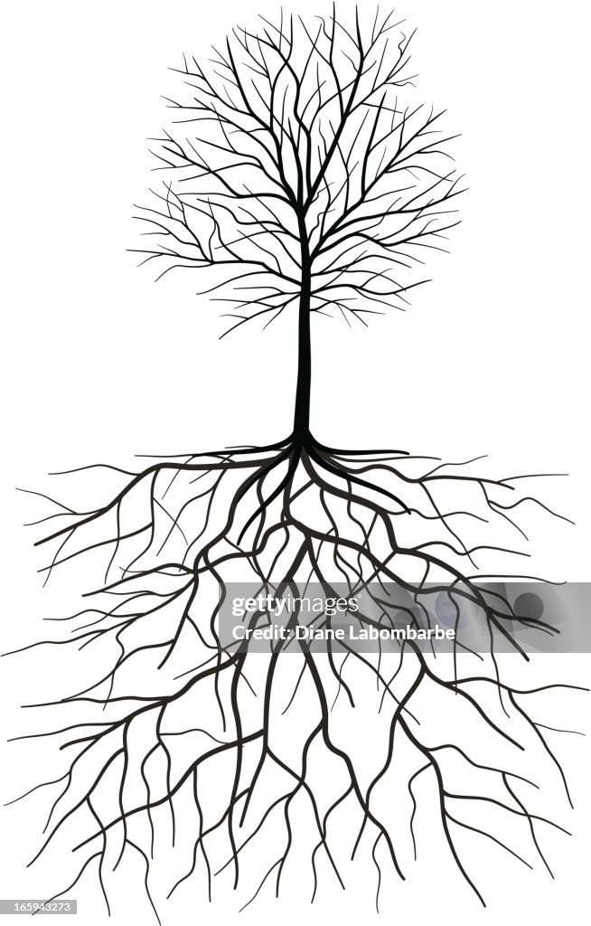 Bare Tree Silhouette With Roots Illustration