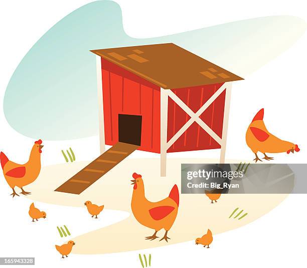 vintage chicken coop - young bird stock illustrations