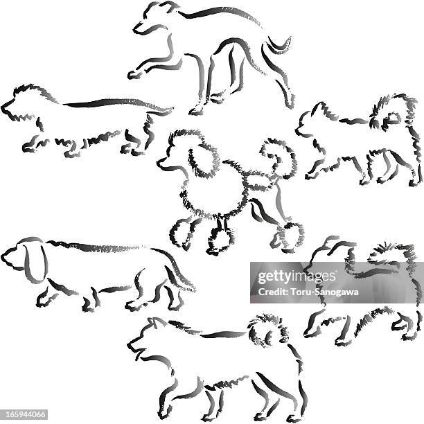 kleine hunde hand drawn - papillon stock-grafiken, -clipart, -cartoons und -symbole