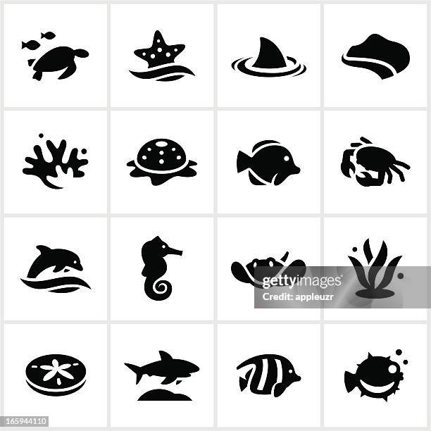 ilustrações, clipart, desenhos animados e ícones de mar negro e vida vegetal ícones - uge