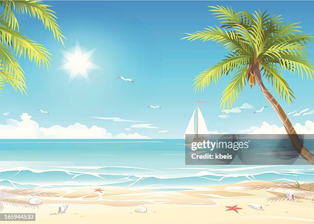 tropical beach - idyllic stock illustrations