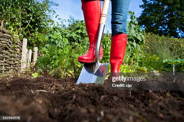 gardener in red botas con pala en el jardín - zapatos rojos fotografías e imágenes de stock