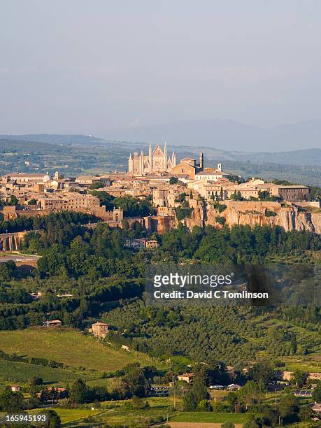 view from hillside, orvieto, umbria, italy - orvieto stock pictures, royalty-free photos & images