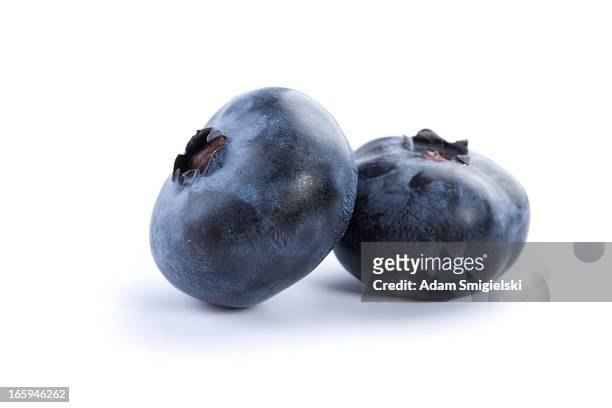 blueberries - adam berry stockfoto's en -beelden