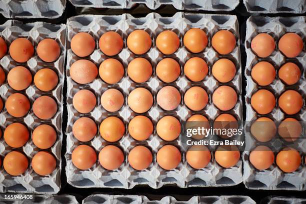 free-range eggs on a cornish farm. - eierdoos stockfoto's en -beelden