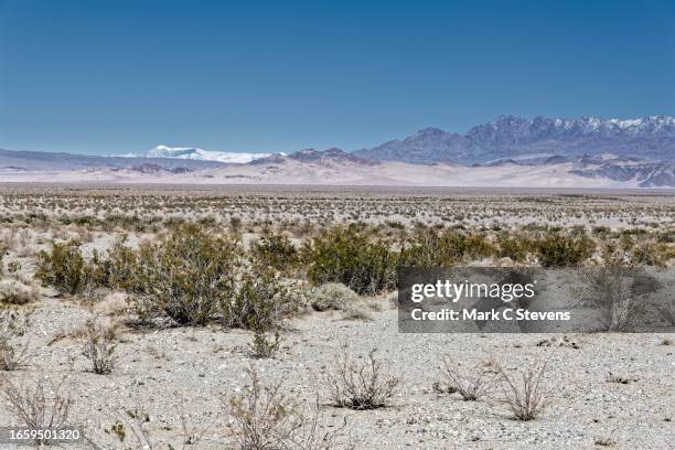 i only pulled off for a view and found myself taking in views of far off mountains - spring mountains stock pictures, royalty-free photos & images