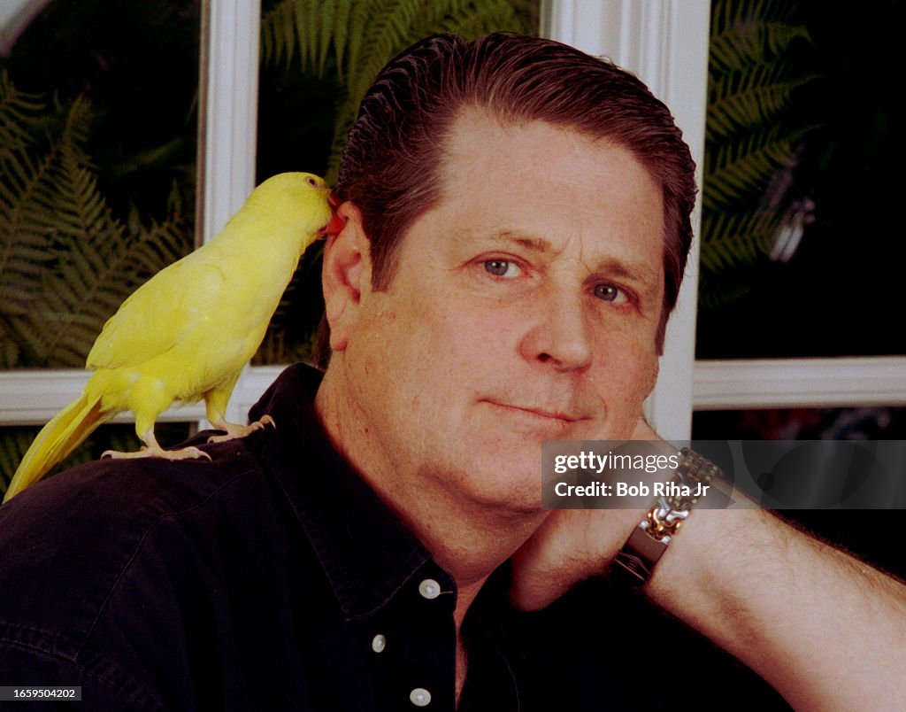Beach Boys Brian Wilson At Home