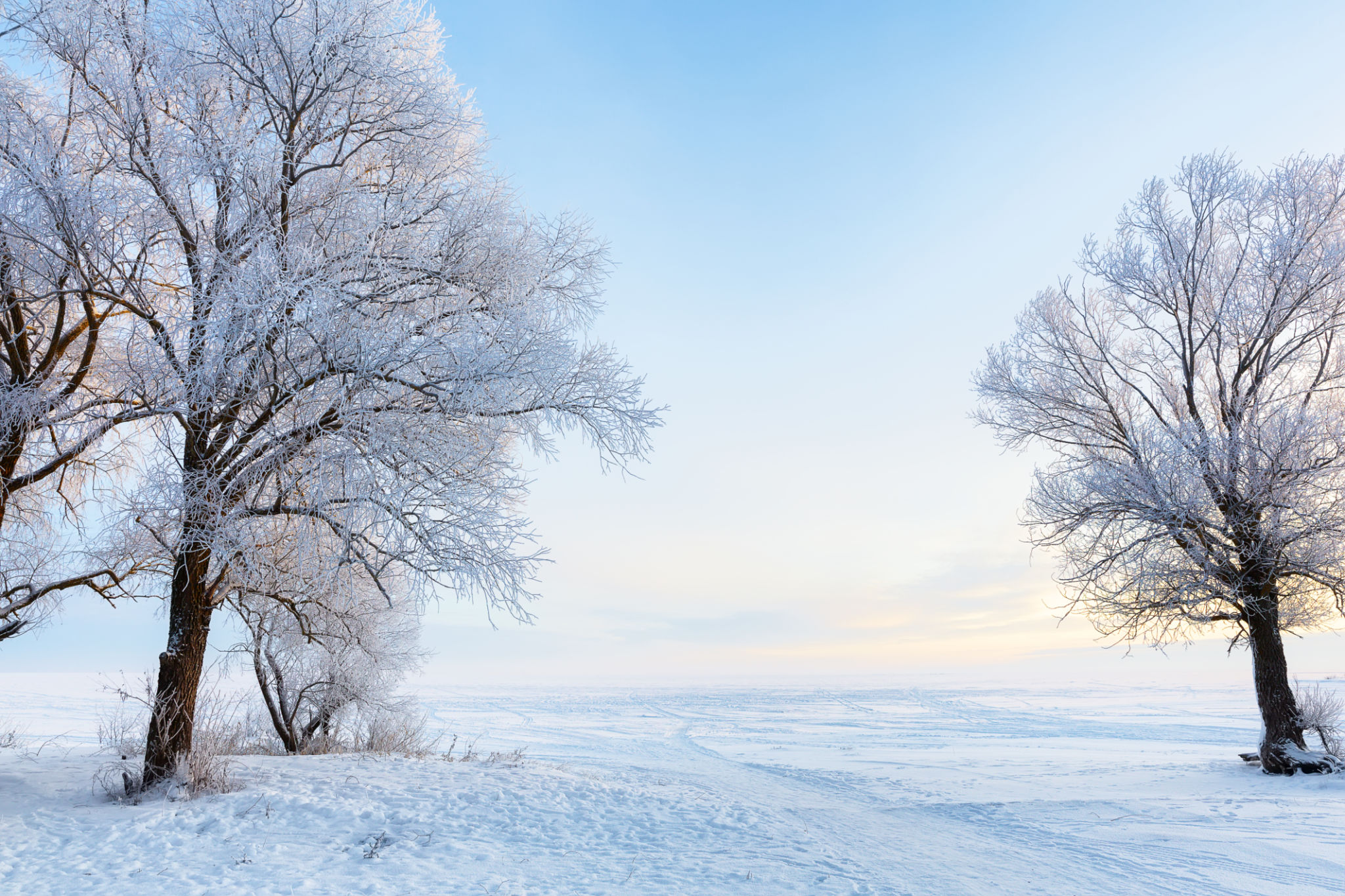 winter landscaping