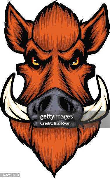 cartoon boars head - boar tusk stock illustrations