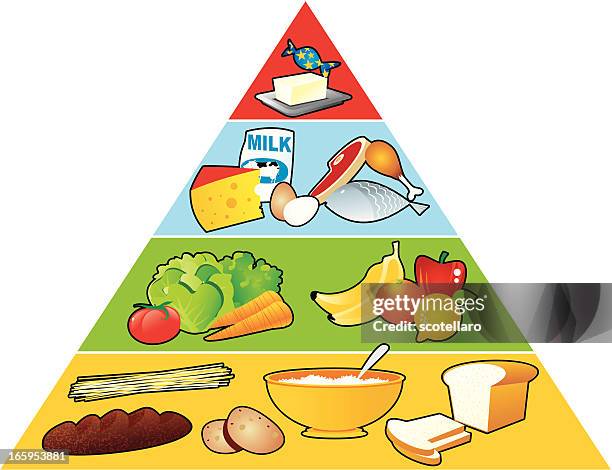 stockillustraties, clipart, cartoons en iconen met image of food pyramid consists of necessary nutrition - food groups