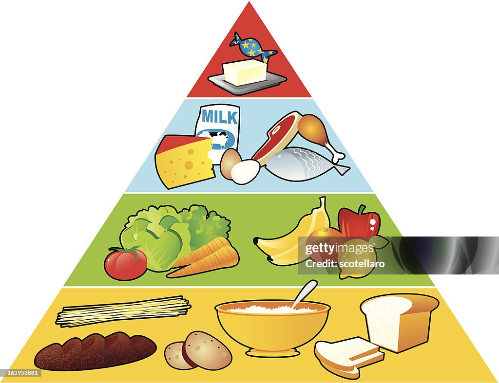 Image of food pyramid consists of necessary nutrition