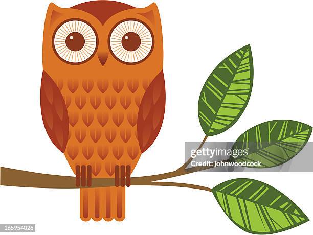 stockillustraties, clipart, cartoons en iconen met owl on a branch - uil