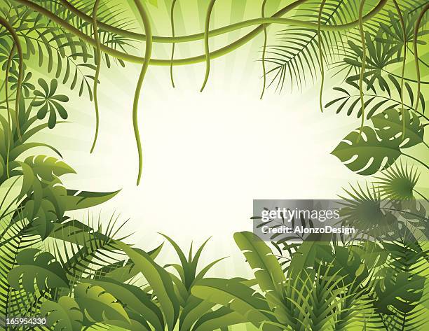 tropical forest background - amazon vines stock illustrations