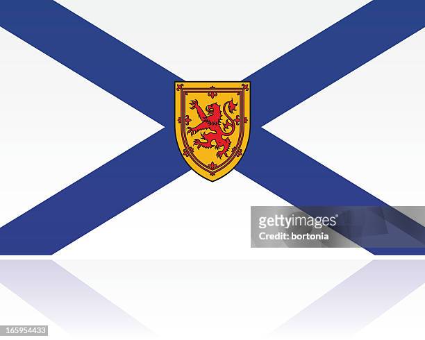 canadian provincial flag: nova scotia - flag of nova scotia stock illustrations