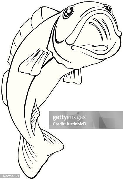 ilustraciones, imágenes clip art, dibujos animados e iconos de stock de del salto del pescado - pez roca