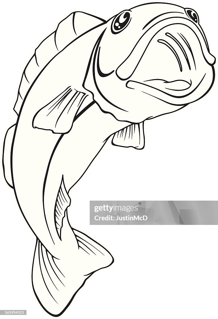 Leaping Fish