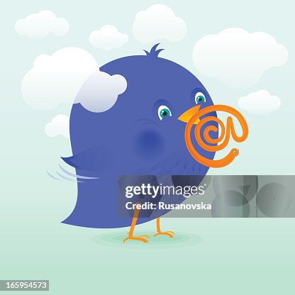 Bluebird Bluebird