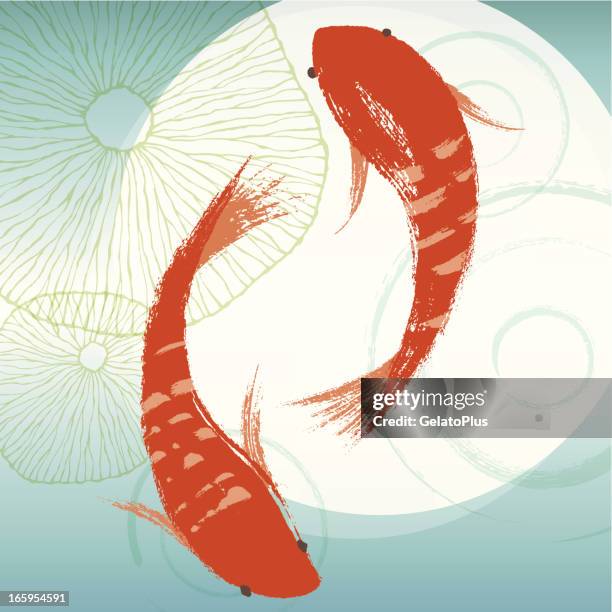 koi fish & lotus leaf - koi painting stock illustrations