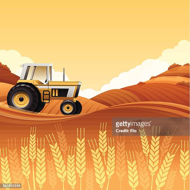 illustrazioni stock, clip art, cartoni animati e icone di tendenza di harvest trattore - field
