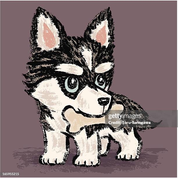 siberian husky and bone - dog bone stock illustrations