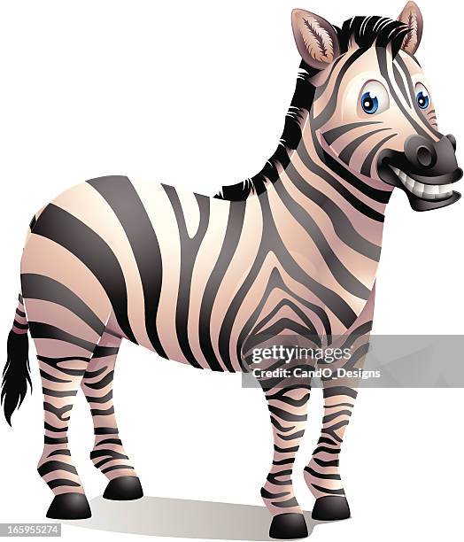 Zebra Rindo 968 Smiling Zebra Stock Photos, High-Res Pictures, and Images - Getty ...