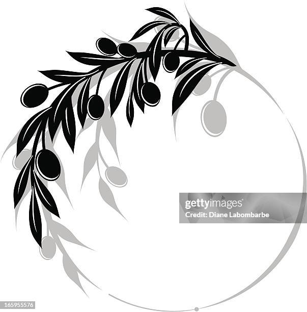 ilustraciones, imágenes clip art, dibujos animados e iconos de stock de aceitunas branch agite elemento de diseño - rama de olivo