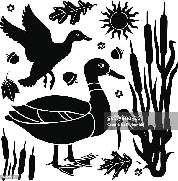 ducks and cattails - reed stock illustrations