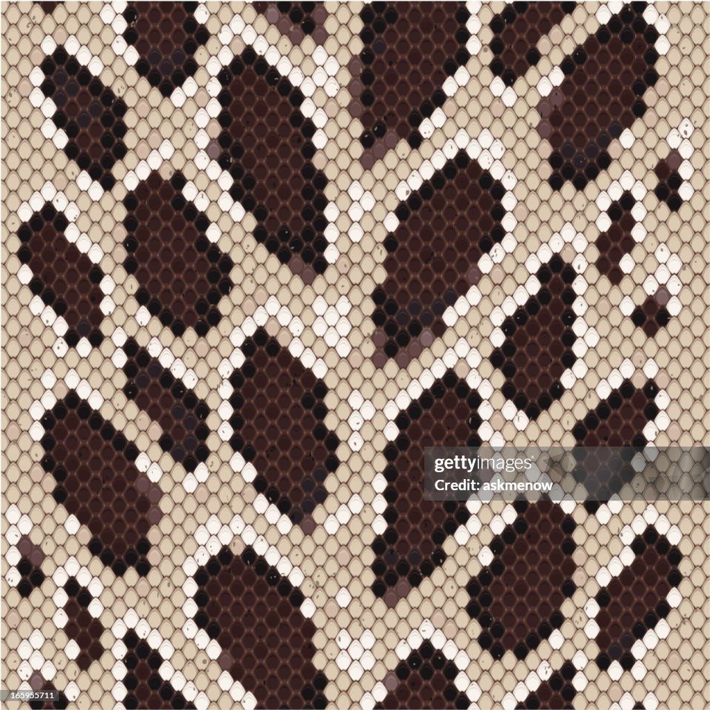 Python Skin High-Res Vector Graphic - Getty Images
