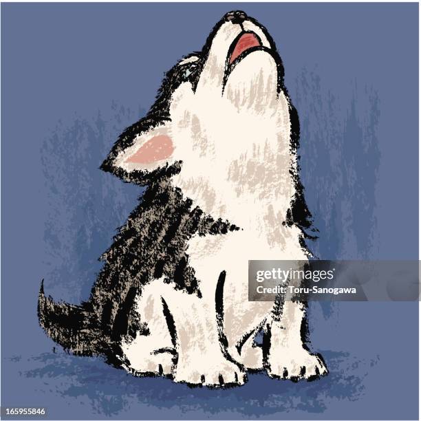 siberian husky to howl - howling stock illustrations