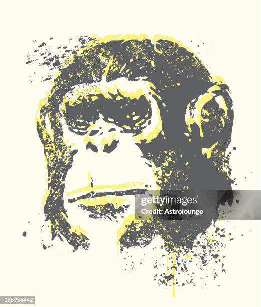 ape - stencil stock illustrations