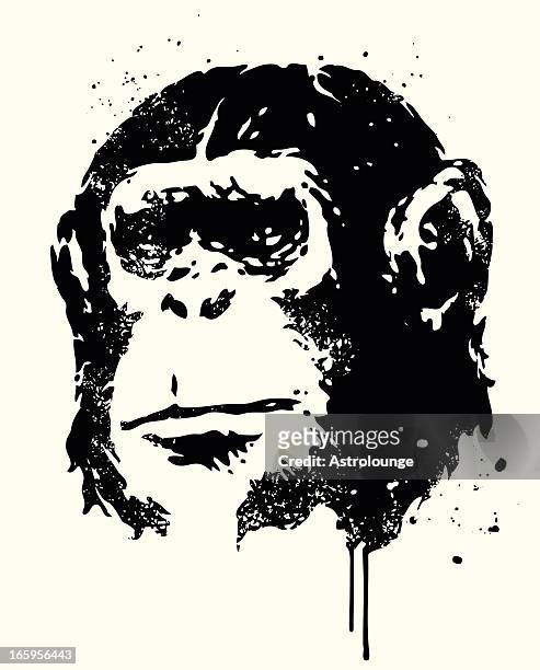 illustrazioni stock, clip art, cartoni animati e icone di tendenza di scimmia antropomorfa - stencil