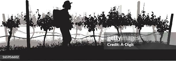 grapes of wine vector silhouette - farm workers in field stock illustrations