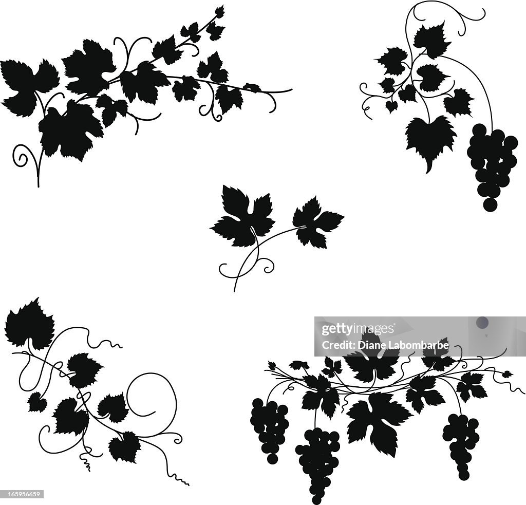 Grapevine Design-Ornamenten