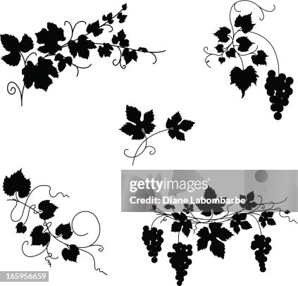 Grapevine Design Ornaments Grapevine Design Ornaments