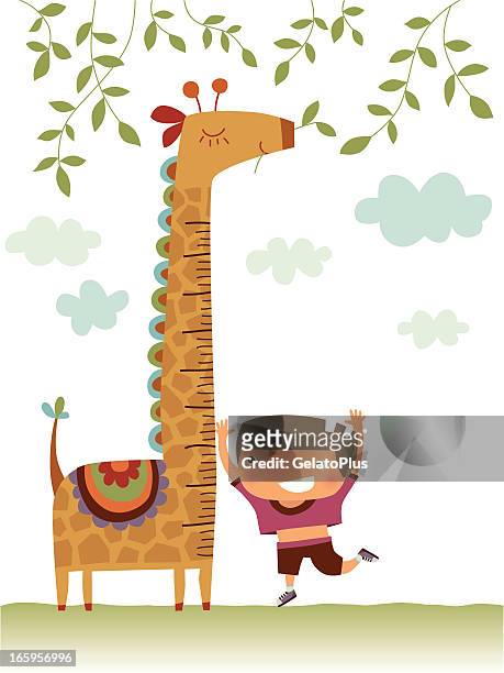 illustrazioni stock, clip art, cartoni animati e icone di tendenza di giraffa crescita grafico - measuring height