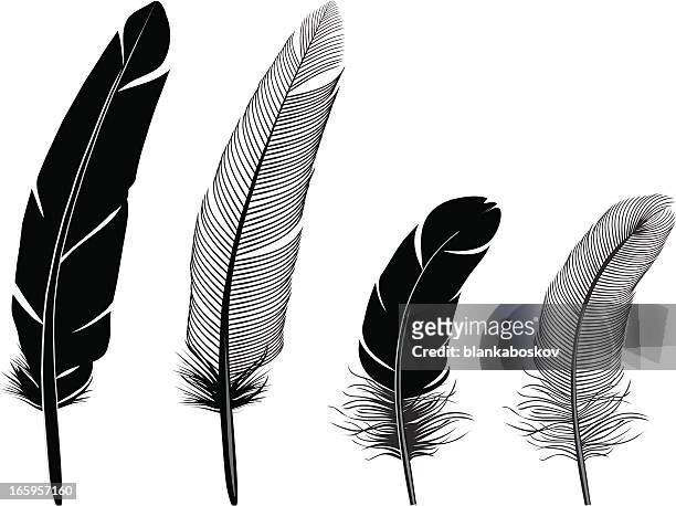 federn - feathers stock-grafiken, -clipart, -cartoons und -symbole
