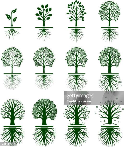 ilustrações, clipart, desenhos animados e ícones de árvore verde crescendo na natureza vector conjunto de ícones - criação