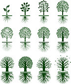 Green Tree Growing in nature vector icon set