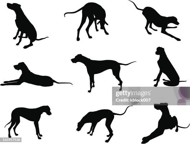 great dane silhouettes - great dane stock illustrations