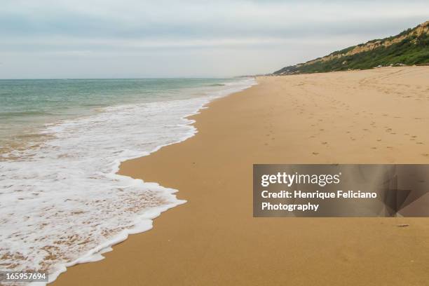 14 Fonte Da Telha Stock Photos, High-Res Pictures, and Images - Getty ...