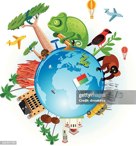 madagascar travel - madagascar forest stock illustrations