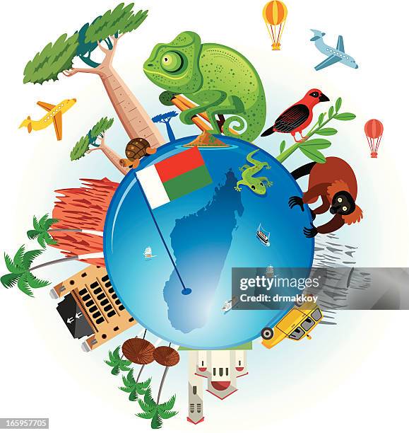 madagascar travel - madagascar forest stock illustrations